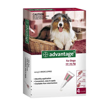 Advantage טיפוח לכלב 10-25 קילו אדוונטג' - אמפולות להרחקת פרעושים לכלבים