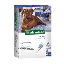 Advantage טיפוח לכלב מעל 25 קילו אדוונטג' - אמפולות להרחקת פרעושים לכלבים