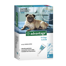 Advantage טיפוח לכלב 4-10 קילו אדוונטג' - אמפולות להרחקת פרעושים לכלבים