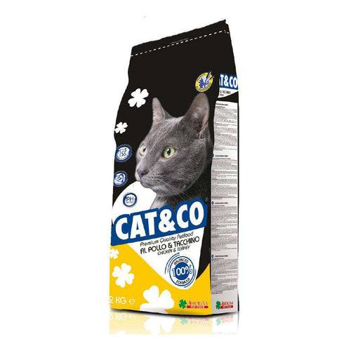 Cat & Co. 20 ק