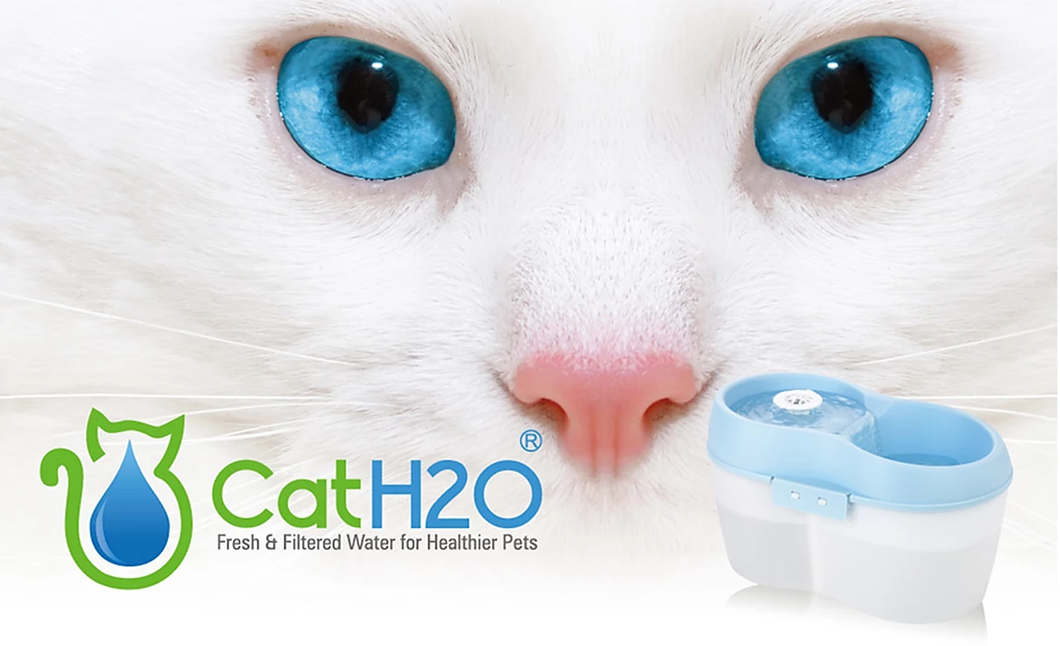CatH2O מזרקת מים עם אבן פלואוריד - 2 ליטר