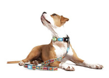 Max & Molly פנס לד מקס ומולי - פנס נטען לתאורת דרך עם שלושה מצבים