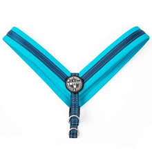 Max & Molly מקס ומולי - רתמה - מטריקס כחול ספורט