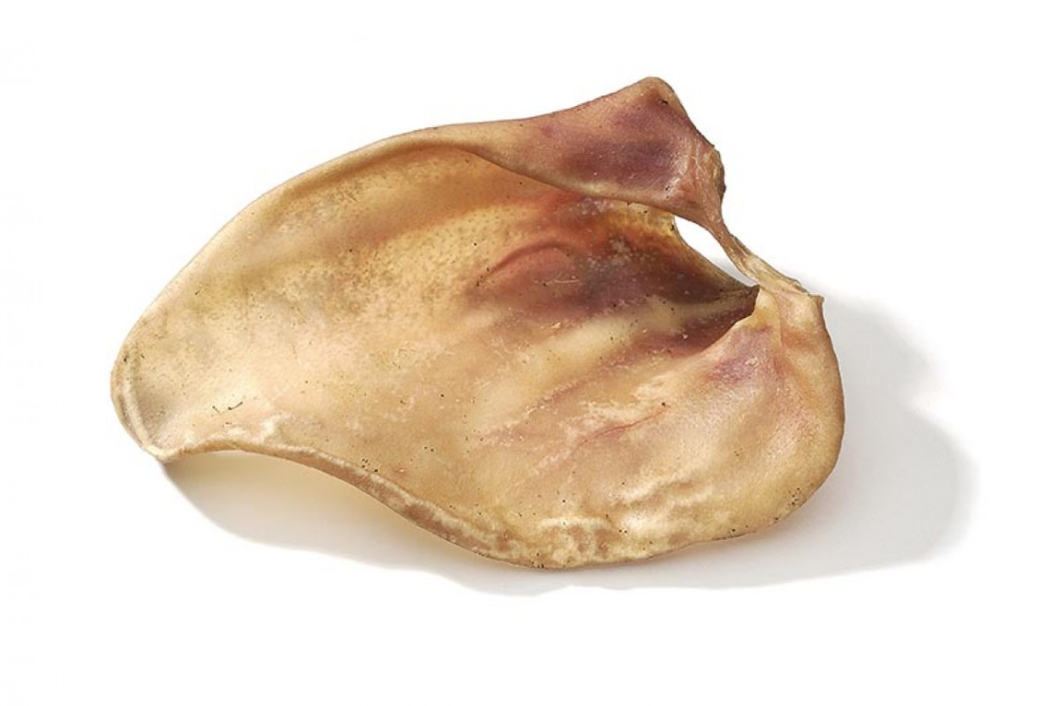 Other אוזן חזיר טבעית ענקית