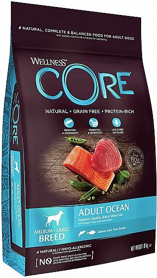 Wellness Core 10 ק