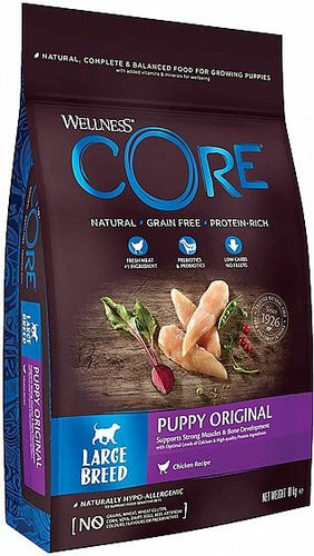 Wellness Core 10 ק
