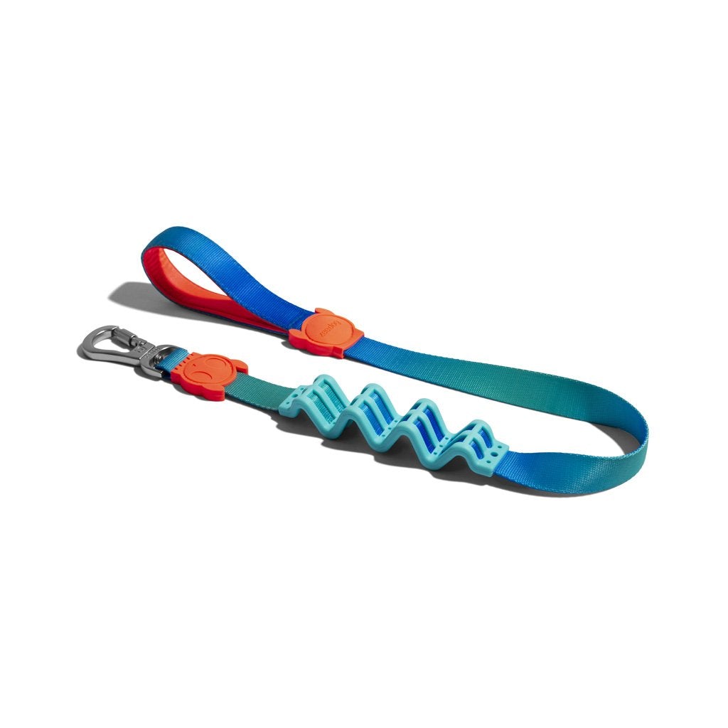 Zee.Dog רצועה 1.2 מטר זי דוג - רצועה לכלבים נגד משיכות Tide